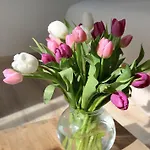 Lijnbaansgracht Studio 4D